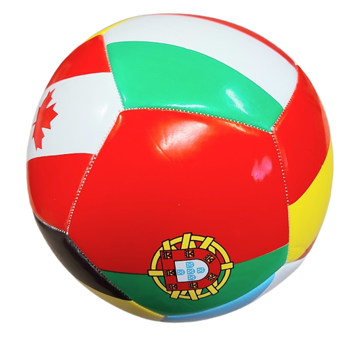 Multi Nations Soccer Ball - Size 5